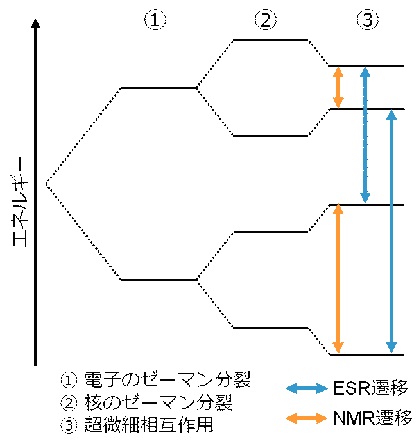 esr3